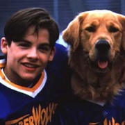点击查看图片 飞狗巴迪 Air Bud