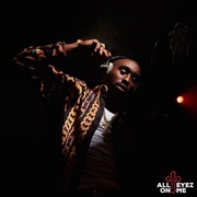 点击查看图片 万视瞩目 All Eyez on Me