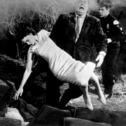 点击查看图片 外太空计划9 Plan 9 from Outer Space