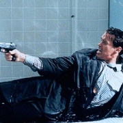 真实的谎言 True Lies