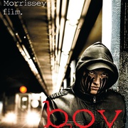 点击查看图片 复仇少年 Boy Wonder