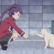 世界征服～谋略之星～ 世界征服～謀略のズヴィズダー～