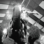 又快又贱又失控 Fast, Cheap & Out of Control