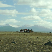 马与人 Hross í oss