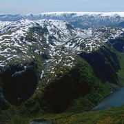 点击查看图片 北欧野生风情录 Nordic Wild