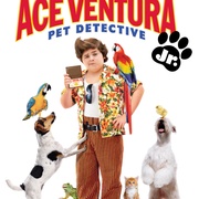 点击查看图片 神探飞机头3 Ace Ventura: Pet Detective Jr.