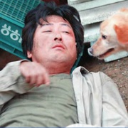 点击查看图片 奔跑的乌龟 거북이 달린다