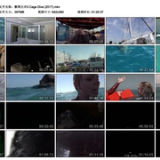 点击查看图片 颤栗汪洋3 Open Water 3: Cage Dive