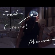 女性思维 The Female Brain