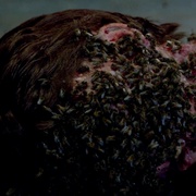 点击查看图片 血腥死亡营 Sleepaway Camp