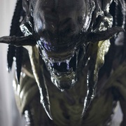 点击查看图片 异形大战铁血战士2 AVPR: Aliens vs Predator - Requiem