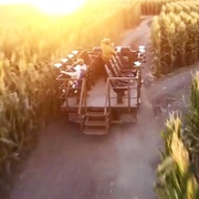点击查看图片 恐惧药物 Fear PHarm