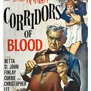 点击查看图片 血回廊 Corridors of Blood