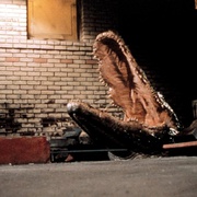 点击查看图片 大鳄鱼 Alligator