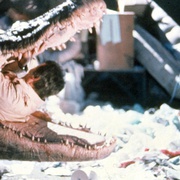 点击查看图片 大鳄鱼 Alligator