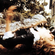 点击查看图片 大鳄鱼 Alligator