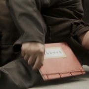 真假铁马骝
