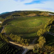 点击查看图片 最大的小小农场 The Biggest Little Farm