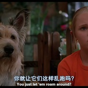 点击查看图片 都是戴茜惹的祸 Because of Winn-Dixie
