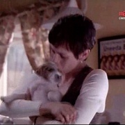 点击查看图片 迅雷先锋 Man's Best Friend