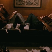 点击查看图片 单身男子 A Single Man