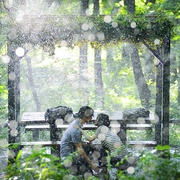 昼颜：工作日下午3点的恋人们 昼顔～平日午後3時の恋人たち～