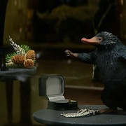 点击查看图片 神奇动物在哪里 Fantastic Beasts and Where to Find Them