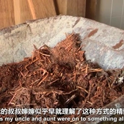 点击查看图片 厕所秘史 The Toilet: An Unspoken History