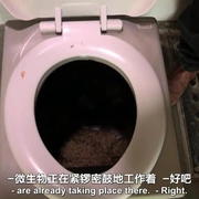点击查看图片 厕所秘史 The Toilet: An Unspoken History