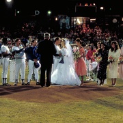 百万金臂 Bull Durham