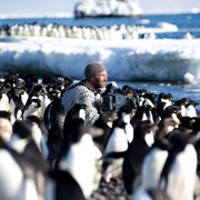 冰冻星球 Frozen Planet