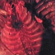 最后的食人族世界 Ultimo mondo cannibale