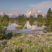 点击查看图片 黄石公园 Yellowstone