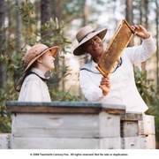 点击查看图片 蜜蜂的秘密生活 The Secret Life of Bees