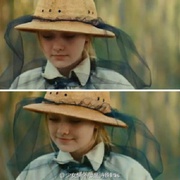 点击查看图片 蜜蜂的秘密生活 The Secret Life of Bees