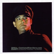 点击查看图片 青蜂侠 The Green Hornet