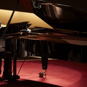 点击查看图片 夺命钢琴 Grand Piano