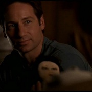 X档案 第八季 The X-Files Season 8