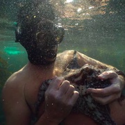 我的章鱼老师 My Octopus Teacher