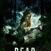 点击查看图片 狂熊之灾 Bear
