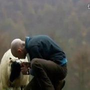 时而狗吠 Some Dogs Bite