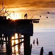 点击查看图片 狗镇之主 Lords of Dogtown