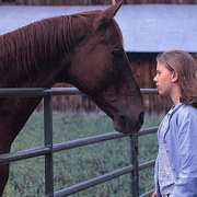 点击查看图片 马语者 The Horse Whisperer