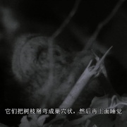 点击查看图片 大裂谷:美丽的非洲心脏 The Great Rift: Africa's Wild Heart