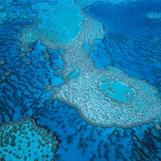 点击查看图片 大堡礁 Great Barrier Reef