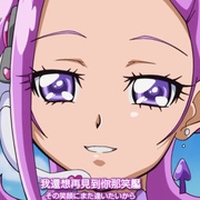 心跳！光之美少女 ドキドキ！プリキュア