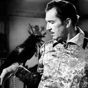 点击查看图片 魔鸟 The Raven