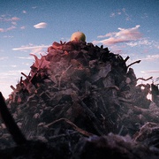 点击查看图片 种子 Seed