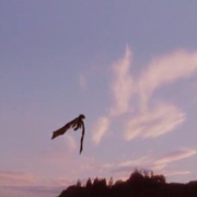 龙之心2 Dragonheart: A New Beginning