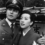 点击查看图片 樱花恋 Sayonara